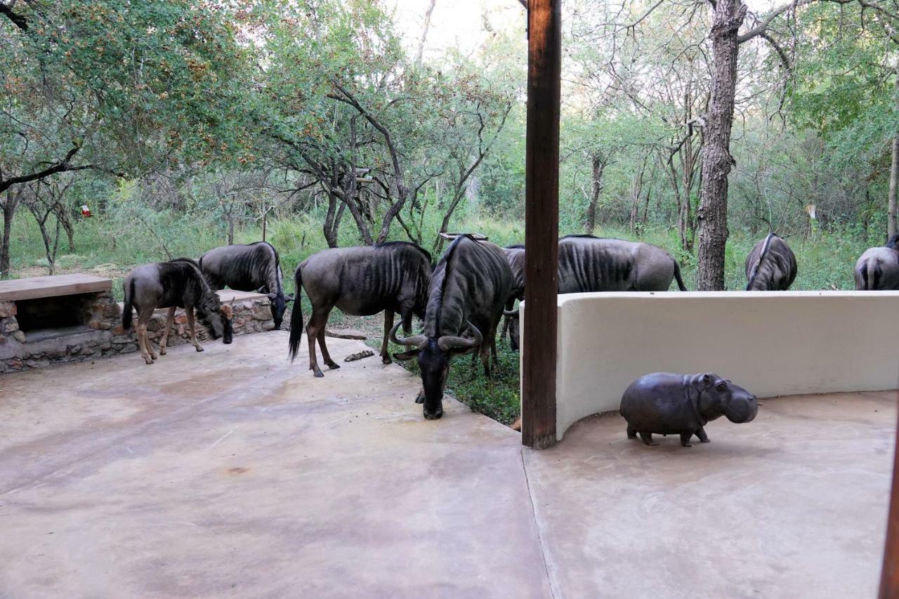 Treetops Marloth Park Exteriér fotografie